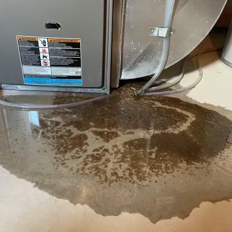 Appliance Leak Cleanup in Woodmoor, CO